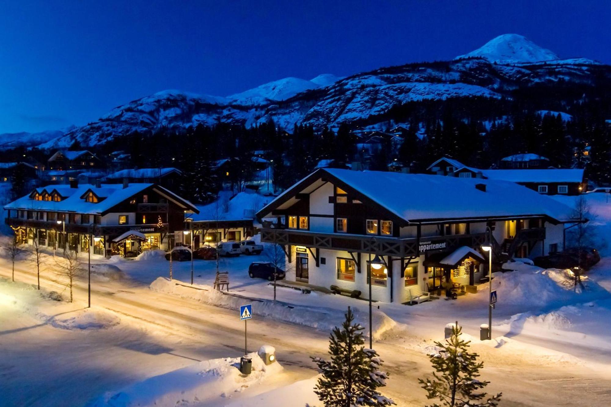 Hemsetunet Apartments Hemsedal Εξωτερικό φωτογραφία