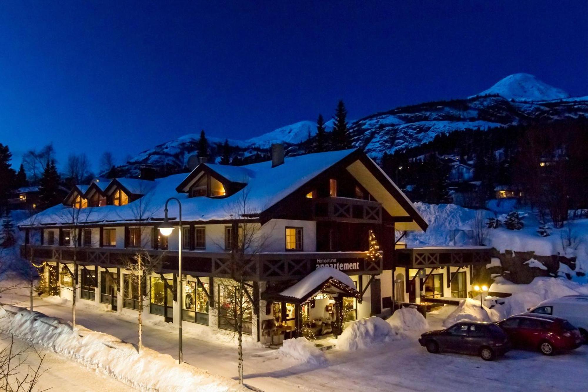 Hemsetunet Apartments Hemsedal Εξωτερικό φωτογραφία